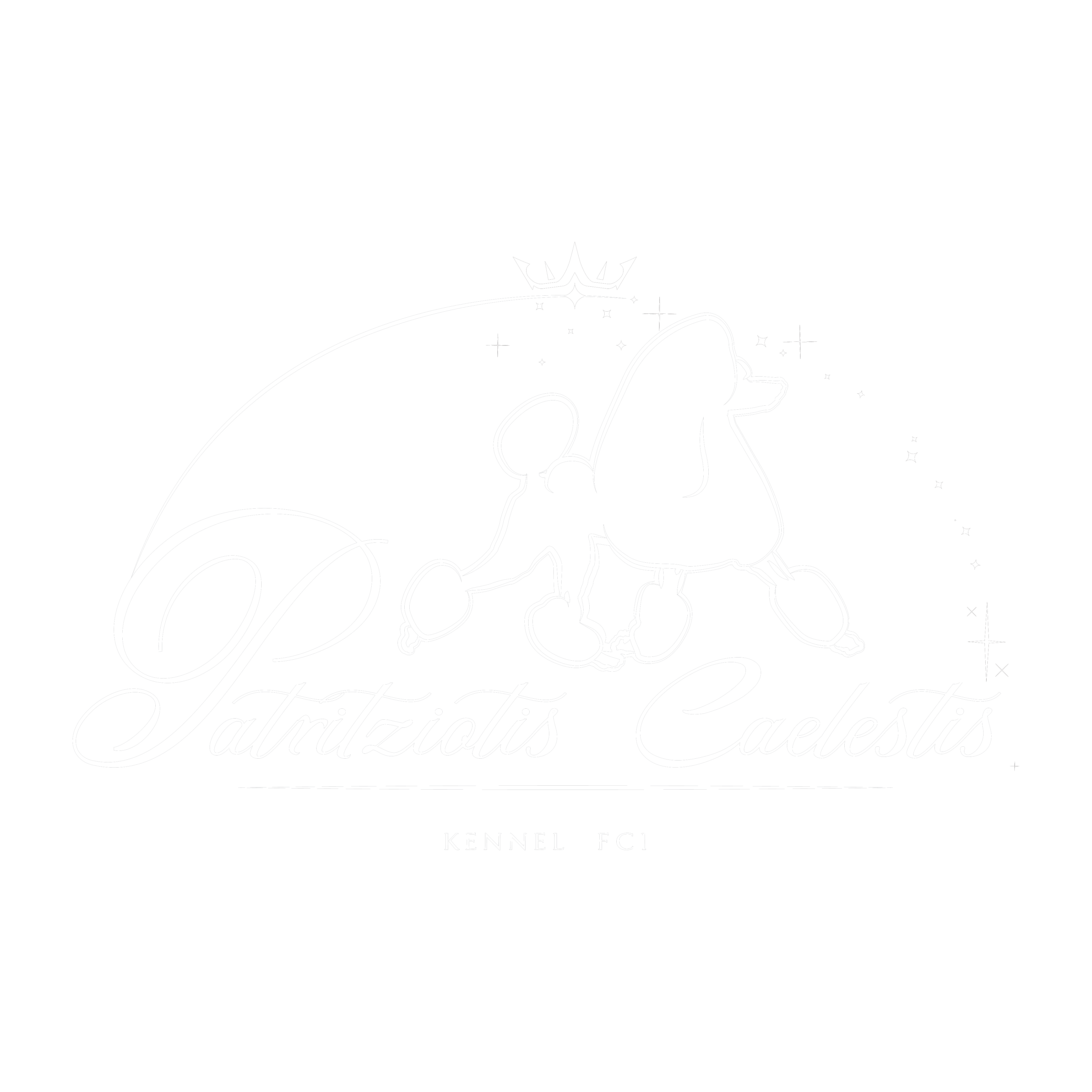 Patritziotis Caelestis crest