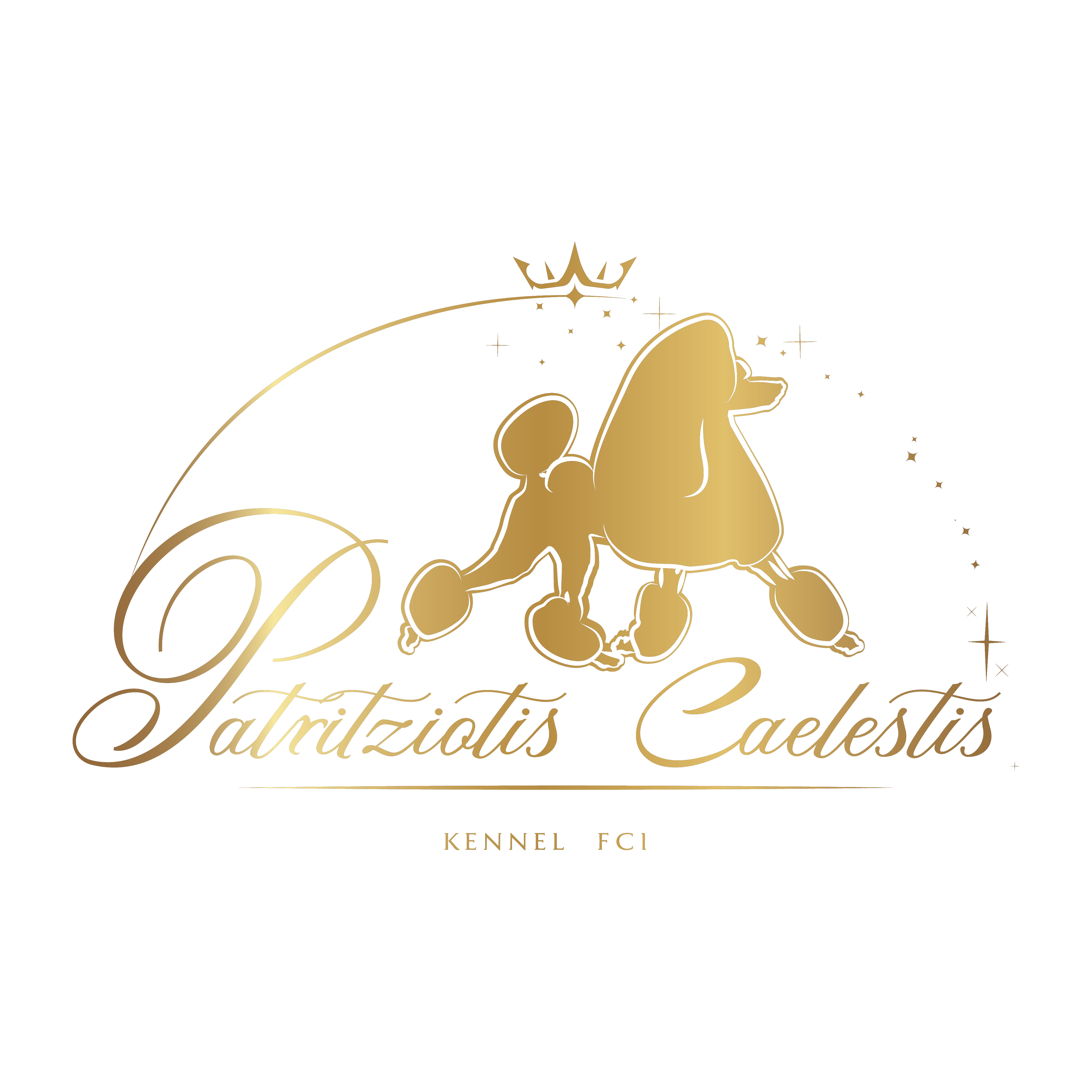Patritziotis Caelestis seal